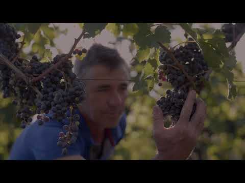 31UWM4Q2Y6InYu02bj5SYyJXZ0BUasxWZjVHbh1WYzNXZuFmd6UzN4YTO5EzM4EjOnBnauQHb1FmZlRWcoZkMlEEU2glNFpFMIJUYGJTJpZnRyUSbvNmLlJWd0V3b55yZtlmRyUiRyUSQzUycwRHdopDN